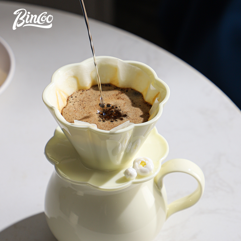 Bincoo-Ceramic Hand Brewing Po - Coffee Tea Pots review and price