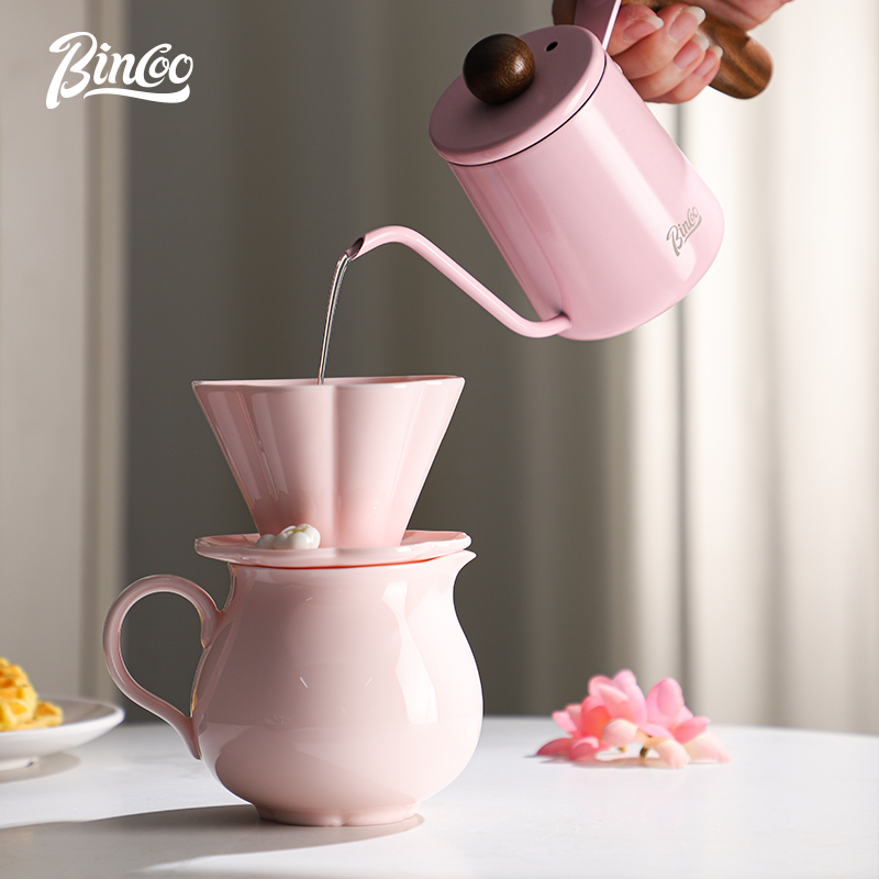 Bincoo-Ceramic Hand Brewing Po - Coffee Tea Pots review and price